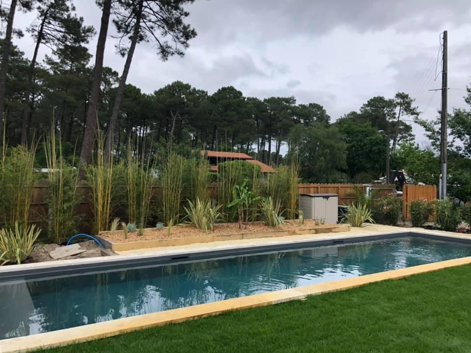 pisicne et jardin pisicne et jardin